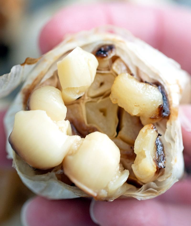 Hand squeezing roasted garlic out of the bulb.